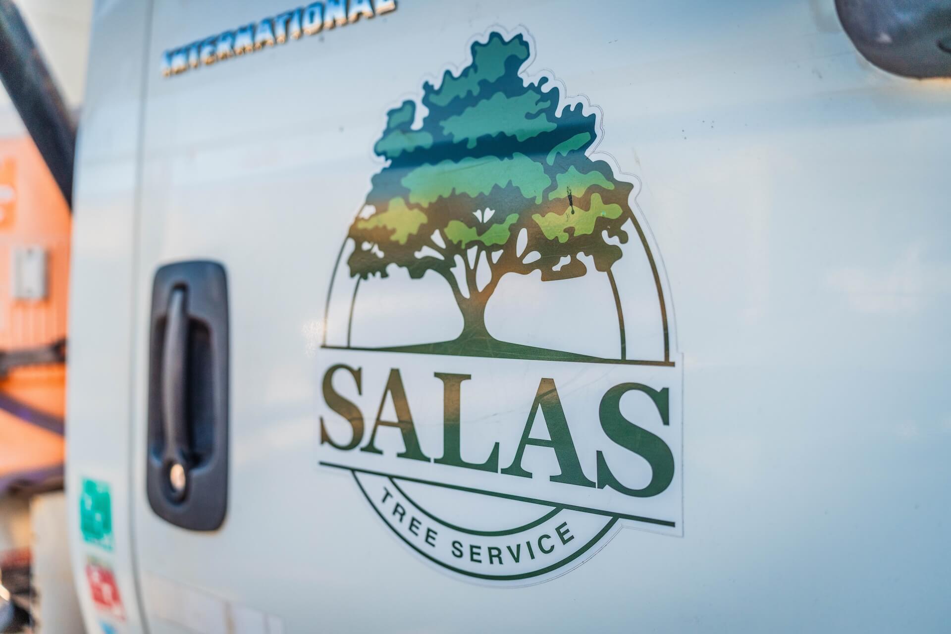 ◆sala tree◆ The Salal Treehouse — Wild Tree Woodworks - Custom Treehouse