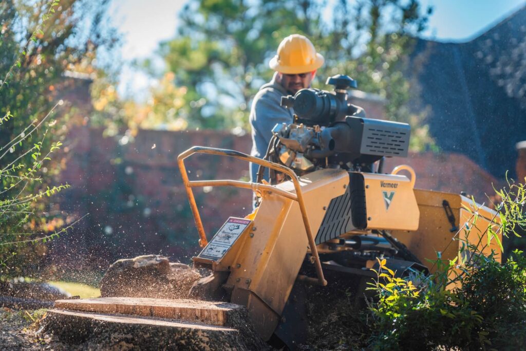 Salas team working a stump grinder