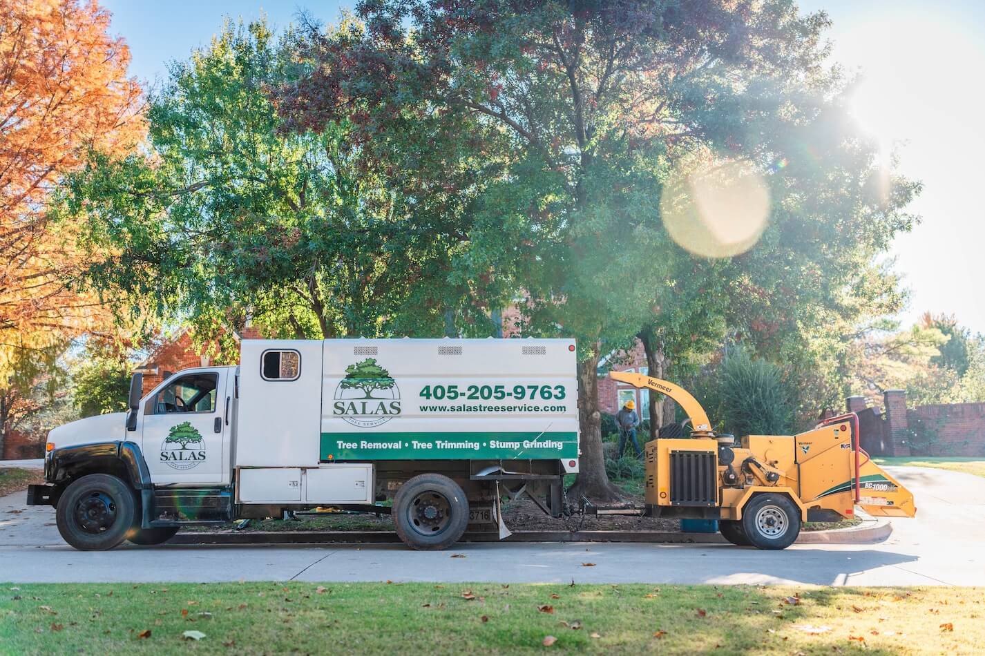 Tree Care Service Frequently Asked Questions - Salas Tree Service